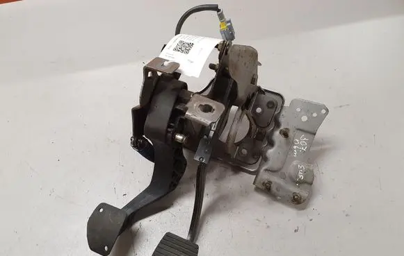 Peugeot 307 Pedal assembly 9650774380