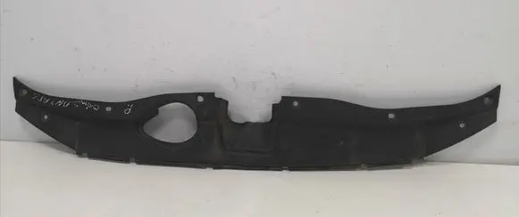 Engine bonnet/hood lock trim molding