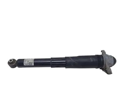 Volkswagen ID.4 Rear shock absorber/damper 1EA512013BD SBY06XZAAJ 8014040085