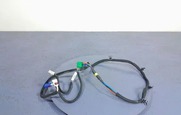 Other wiring loom