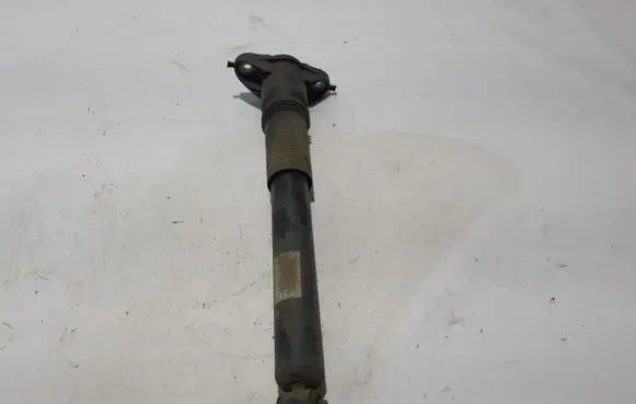 Citroen C4 III e-C4 Rear shock absorber/damper 9841379480