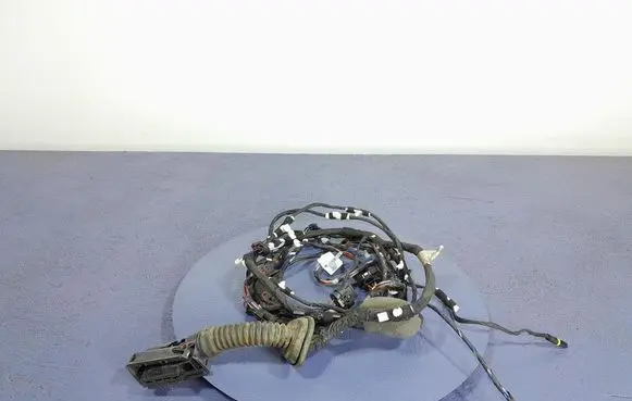 Other wiring loom