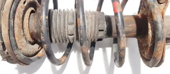 Peugeot 206 Front coil spring