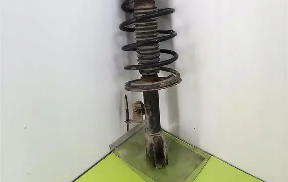 Peugeot 206 Front shock absorber with coil spring 