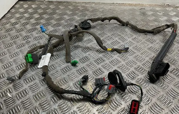 Front door wiring loom