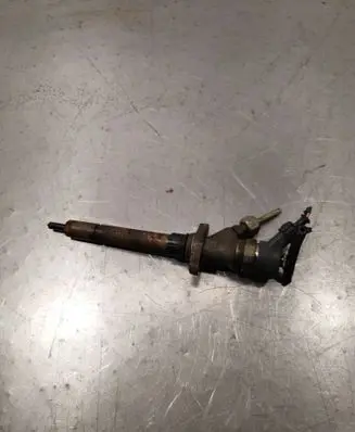 Peugeot 406 Fuel injector 0445110036