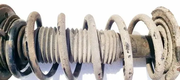Chevrolet Captiva Front coil spring 