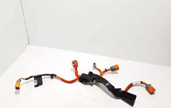 Ford Mach-E I Other wiring loom LJ9814B323AE