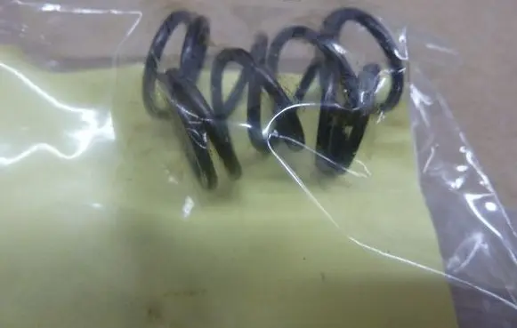 Renault Zoe Front coil spring 1424617031