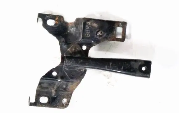 Engine bonnet/hood lock trim molding