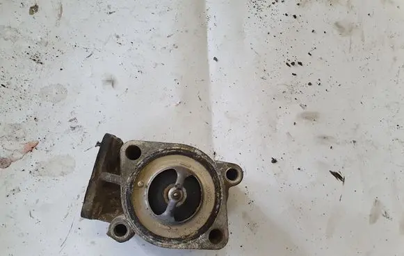 Thermostat/thermostat housing