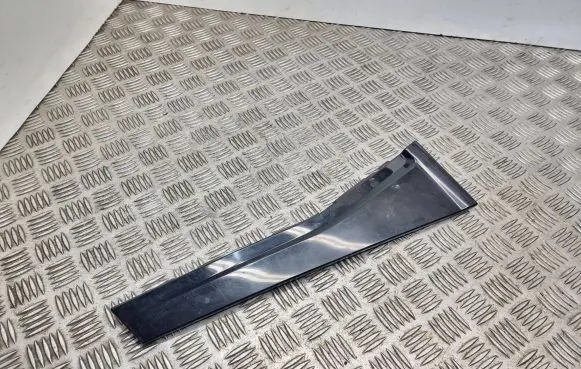 Other rear door trim element