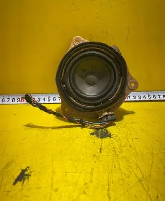 Front door speaker