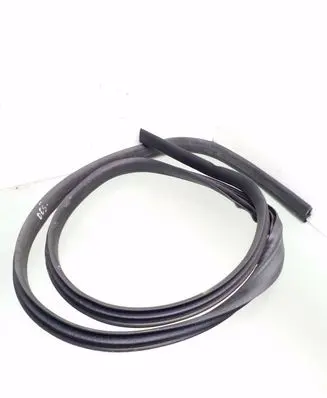 Ford Focus Front door rubber seal