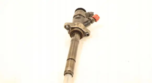 Citroen C5 Fuel injector 0445110297