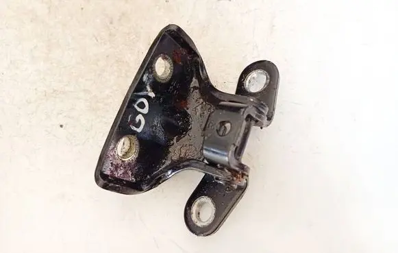Rear door lower hinge