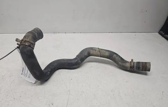 Seat Alhambra (Mk1) Engine coolant pipe/hose