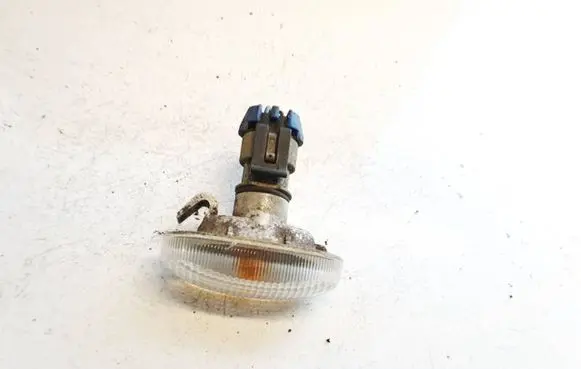 Front fender indicator light