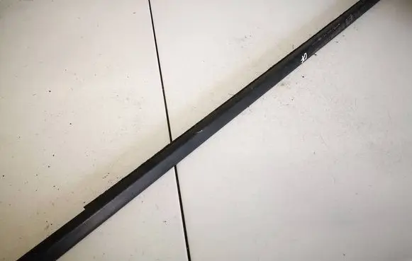 Renault Scenic II - Grand scenic II Rear door glass trim molding