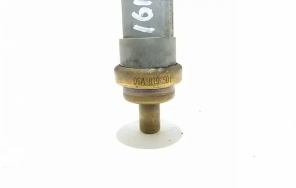 Volkswagen Touareg I Oil pressure sensor 06A919501