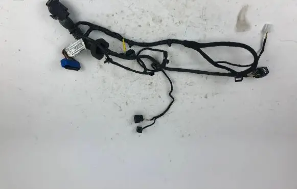 Front door wiring loom