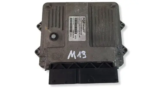Fiat Punto (188) Engine control unit/module 55195817 7160005300