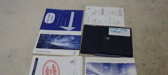 Peugeot 407 User manual 