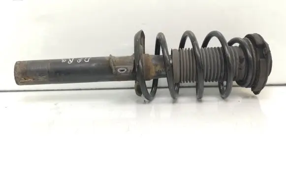 Volkswagen Golf V Front shock absorber with coil spring 11624016 301693