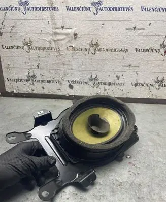 Opel Cascada Rear door speaker 23265819 150508 434107863761