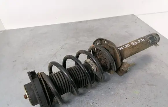Volkswagen PASSAT B6 Front shock absorber with coil spring 3C0413031AT