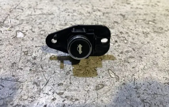 Dodge Challenger Tailgate opening switch 68141864AA 10094024