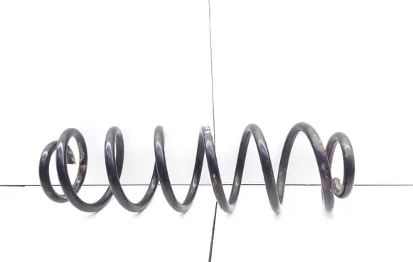 Skoda Praktik (5J8) Rear coil spring