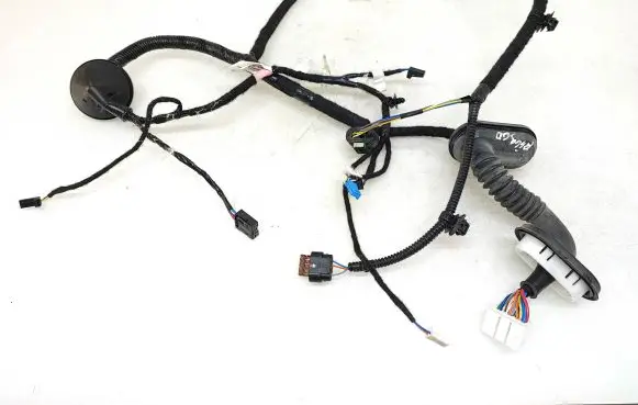 Rear door wiring loom