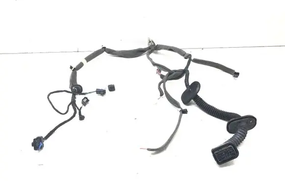 Front door wiring loom