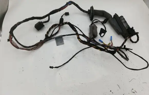 BMW X5 E70 Front door wiring loom 9187998 61139187998