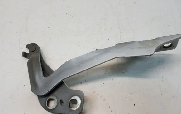 Ford Fusion II Engine bonnet/hood hinges DS73F16800AB