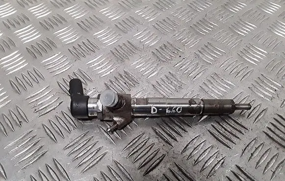 Dacia Duster Fuel injector 166008052R H8200704191