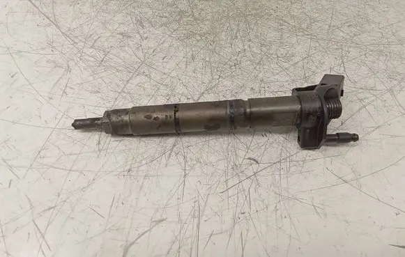 Mercedes-Benz S W221 Fuel injector A6420701387 0445115064