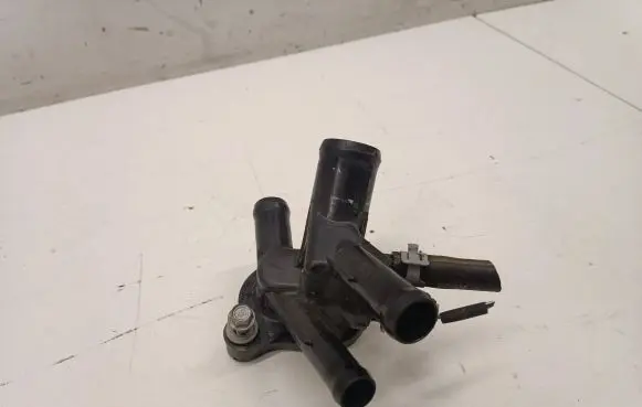 Thermostat/thermostat housing