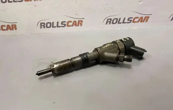 Citroen C5 Fuel injector 9640088780J 0445110062