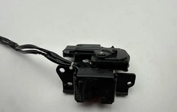 Toyota Prius (XW30) Loading door lock 