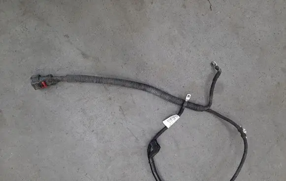 Other wiring loom