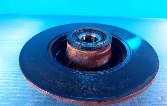 Citroen C4 I Rear brake disc