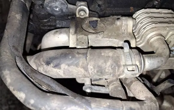 EGR valve cooler