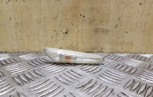 Front fender indicator light