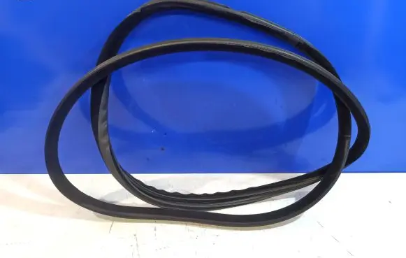 Volvo S80 Rubber seal rear door 30649295