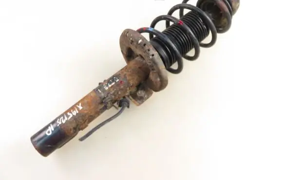 Skoda Roomster (5J) Front shock absorber with coil spring 