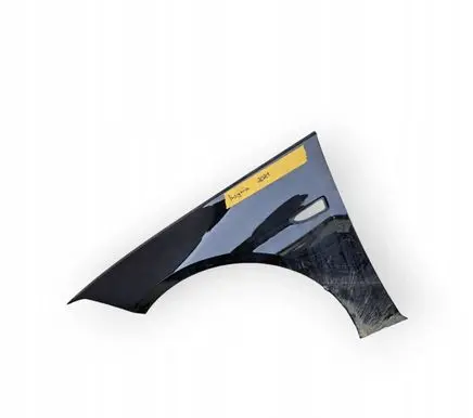Opel Insignia B Fender