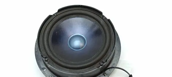 Mercedes-Benz R W251 Front door speaker A2518200202