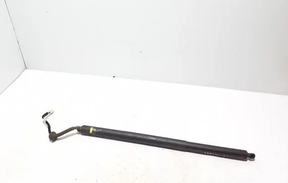 Tailgate strut